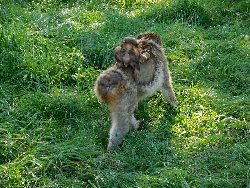 DSCN2490.JPG