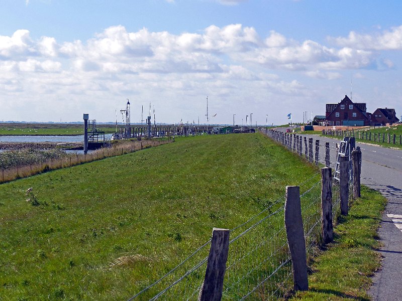 DSCN1714.JPG