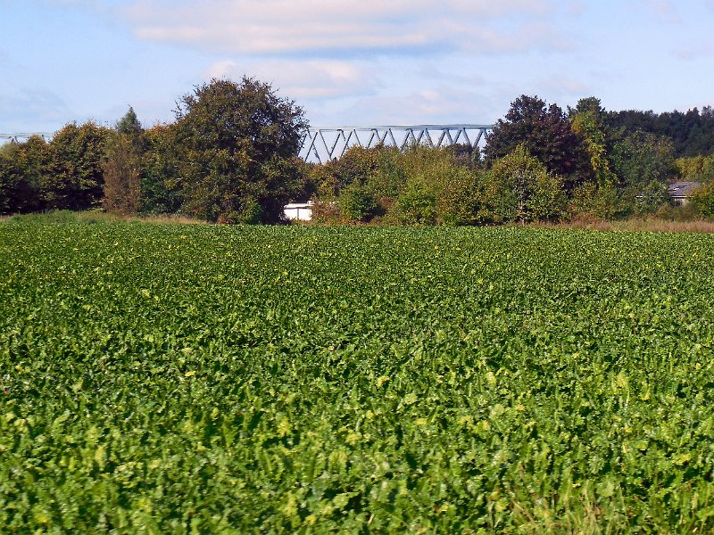 DSCN1725.JPG