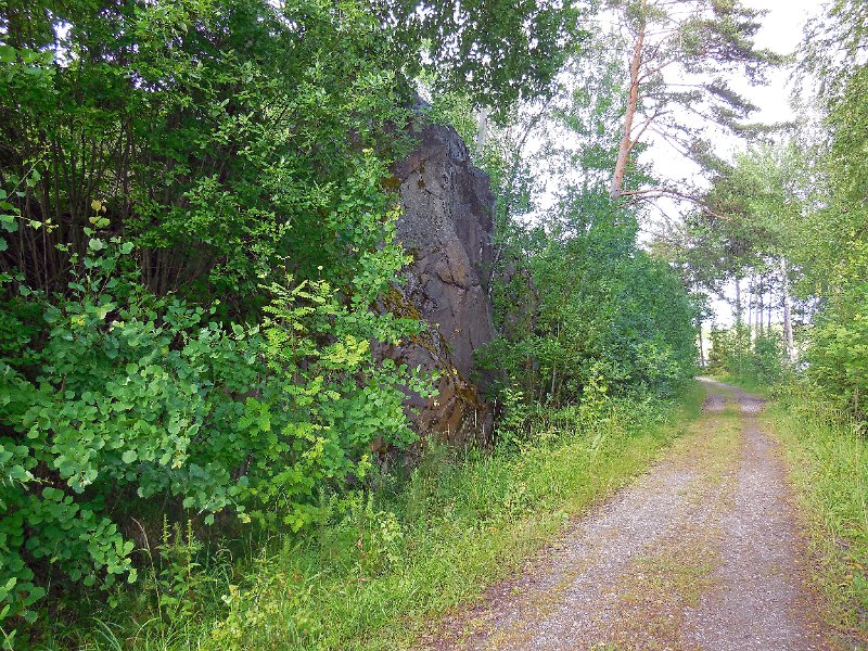 DSCN0934.JPG