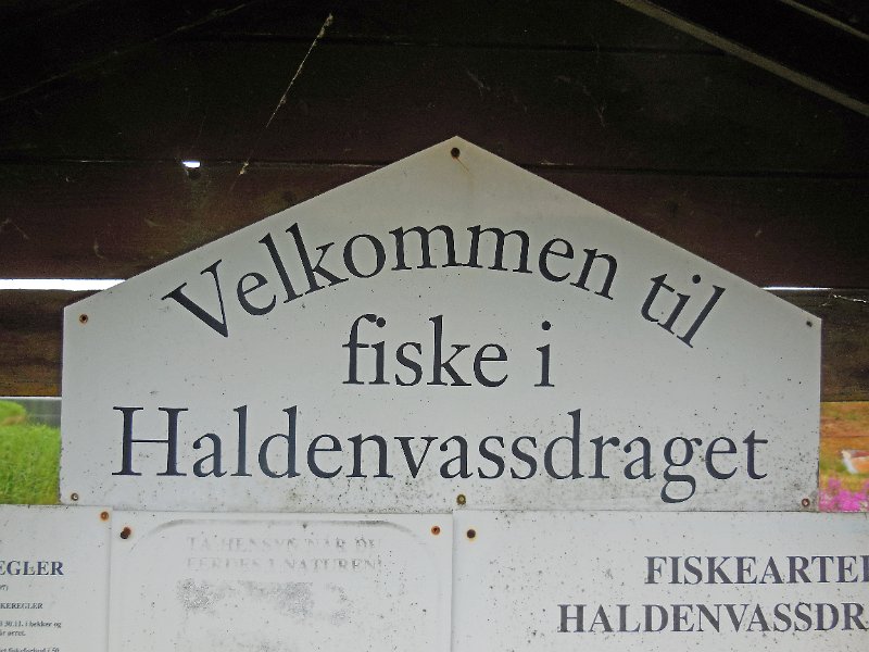 DSCN1005.JPG