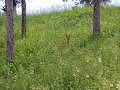 DSCN0811