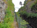 DSCN0816
