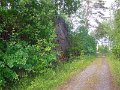 DSCN0934