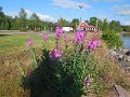 DSCN0939