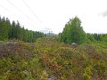 DSCN1049