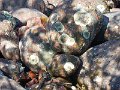DSCN1079
