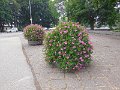 DSCN1265