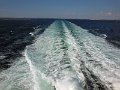 DSCN1392