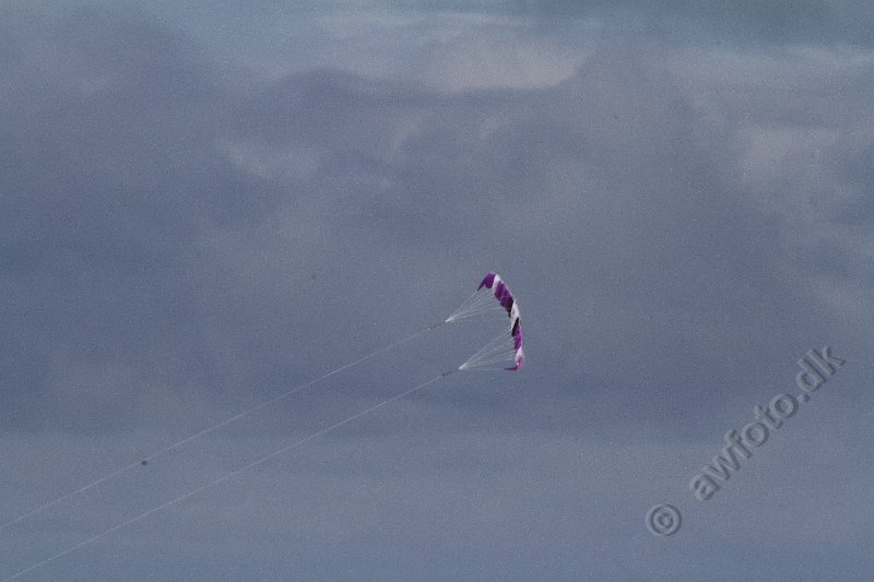 IMG_2892.JPG