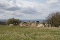 IMG_2742