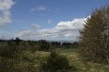 IMG_2756