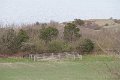 IMG_2758