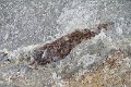 IMG_2769