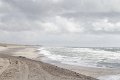 IMG_2864