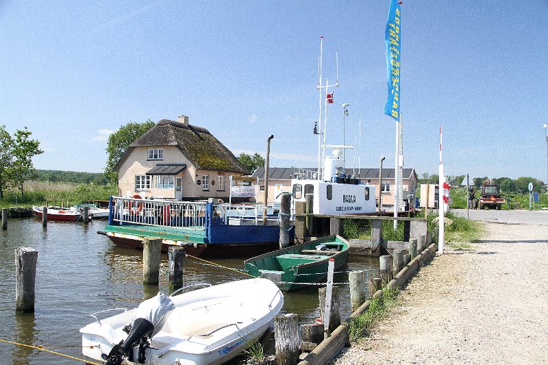IMG_0229.JPG