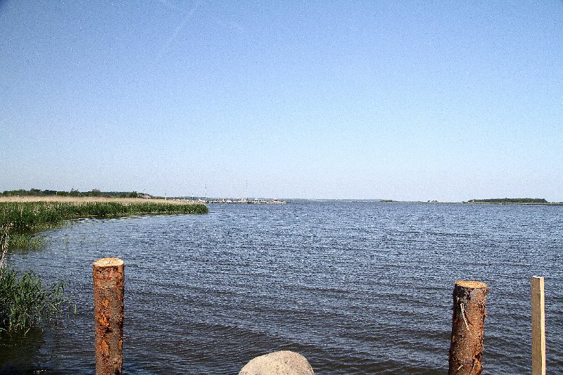 IMG_0230.JPG