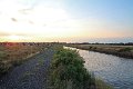 IMG_4054
