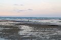 IMG_4056