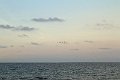 IMG_4063