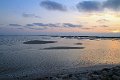 IMG_4067