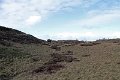 IMG_6751
