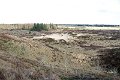 IMG_6769