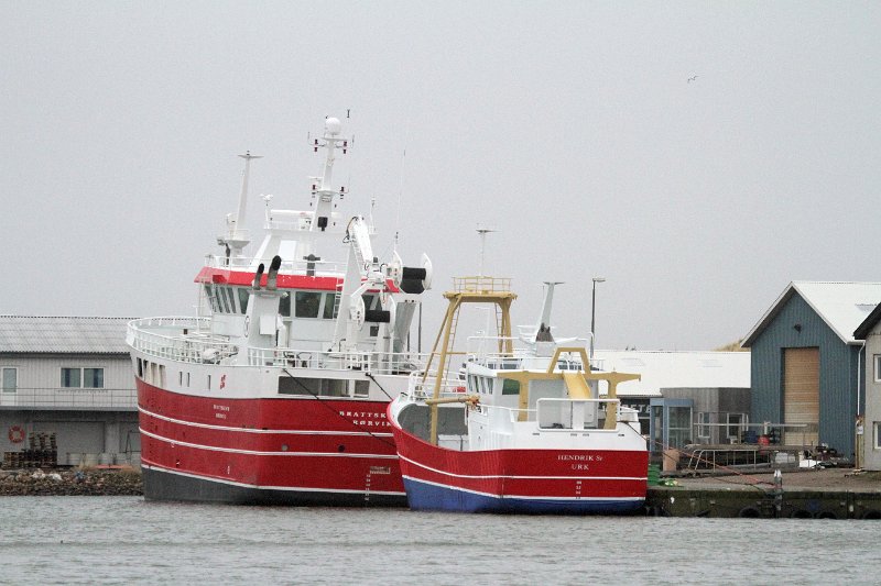 IMG_2049.JPG - Motiv fra Hvide sande havn