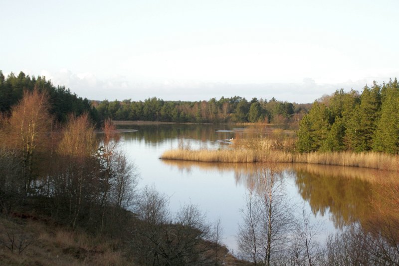 IMG_2087.JPG - Brunkullejerne ved Søby