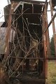 IMG_2075