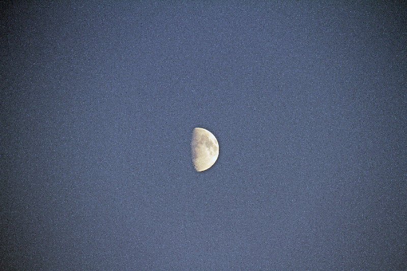 IMG_8589.JPG