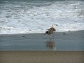 DSCN1517