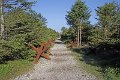 IMG_8401