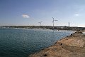IMG_8514
