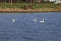 IMG_8715