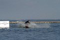 IMG_8860