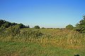 IMG_3833