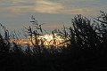 IMG_3856