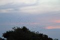 IMG_3881