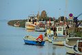 IMG_3903