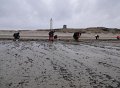 DSC00511