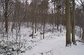 IMG_8276