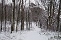 IMG_8280