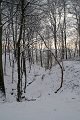IMG_8283