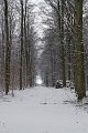 IMG_8290