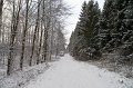 IMG_8312