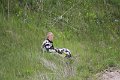 IMG_5194