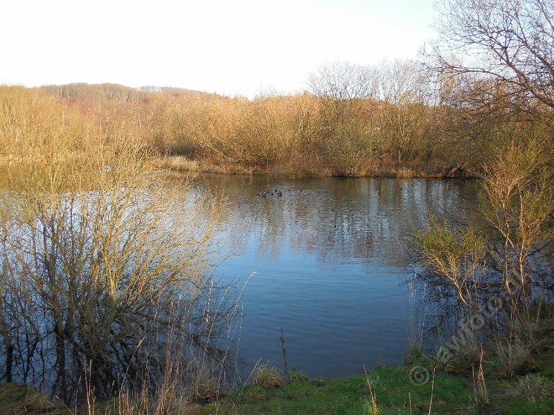 DSCN0412.JPG