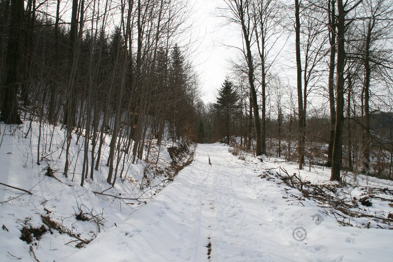 IMG_4676.JPG