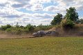 IMG_2779